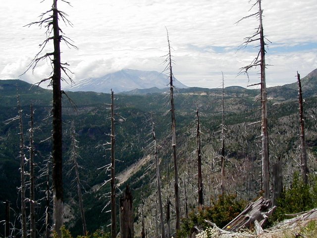 Mount St. Helens in 2004