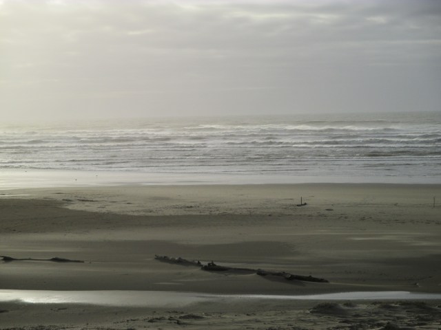 tesserologyflorencecoast