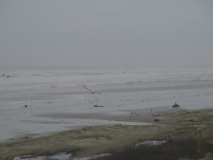 tesserologyflorencezen