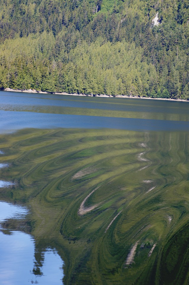 tesserology alaska reflection