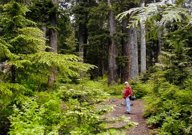 Dad's return to Lost Lake cabin site