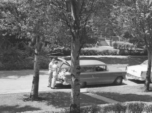 tesserology green chev